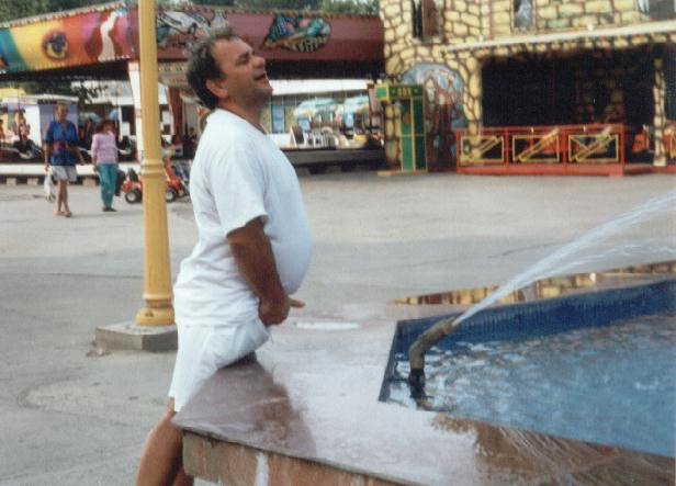 Simulare